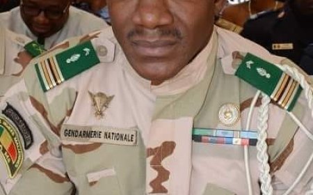 Forces armées maliennes (FAMA) :  Les écrits du Colonel Alpha Yaya Sangaré lui coûtent la radiation
