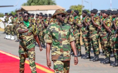 Sénégal : l’assemblage de véhicules militaires démarre