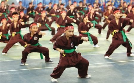 Les arts martiaux chinois :  Une culture chinoise, source d’équilibre mental et physique pour la jeunesse