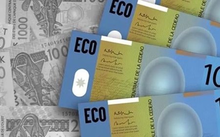 Monnaie ECO : la Cédéao appelle à accélérer les réformes