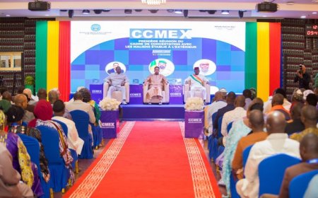 Mali : lancement du Cadre de Concertation avec les Maliens établis à l’Extérieur