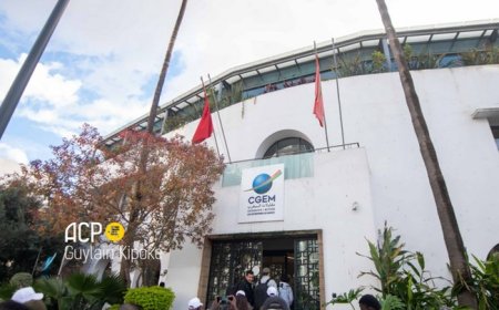 Maroc-Mali : le secteur privé mise sur une coopération économique renforcée