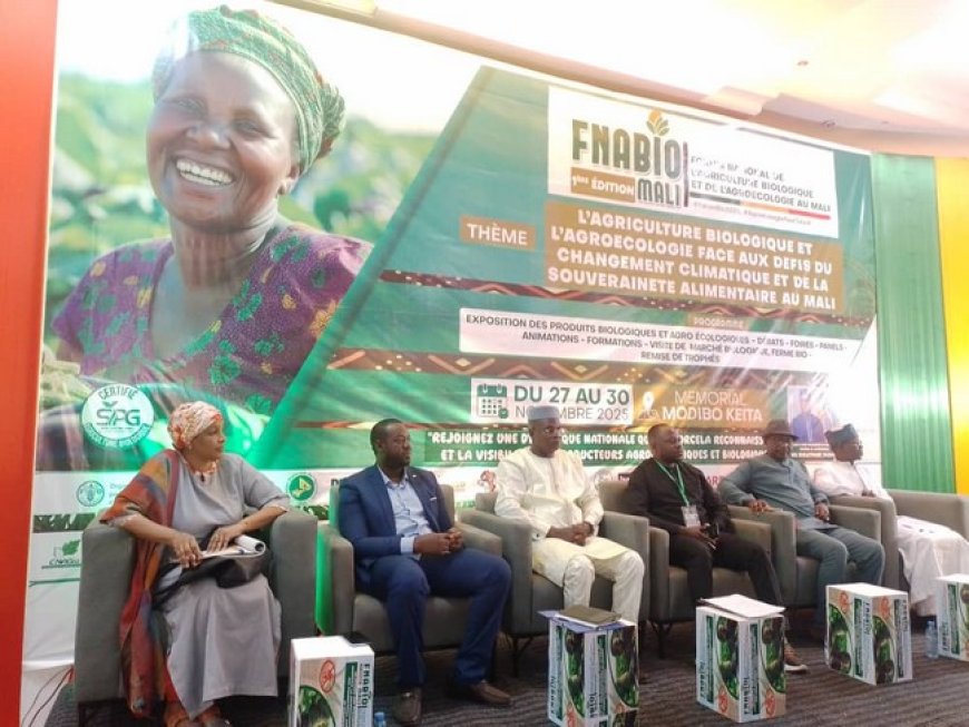 Agriculture biologique :  Recommandations pour l’avenir