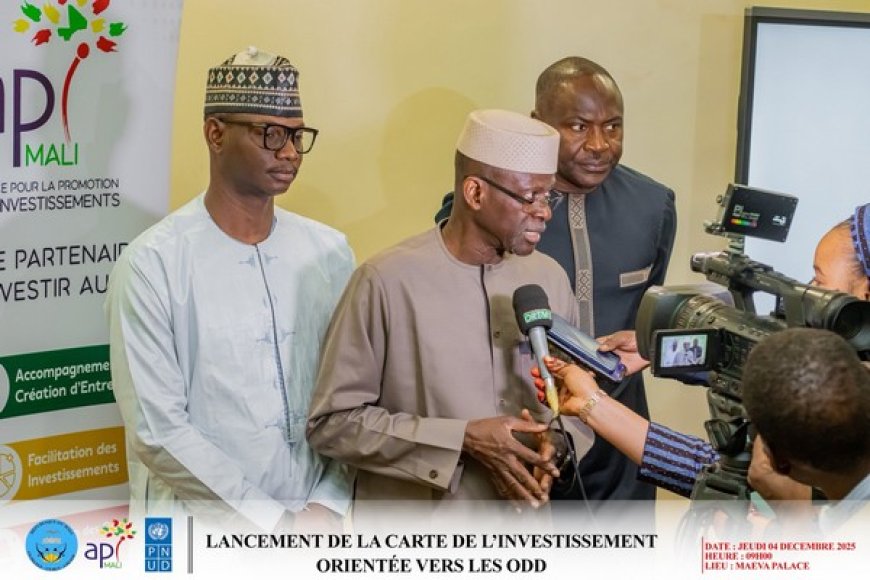 API-MALI : Lancement d’une carte des investissements alignée sur les objectifs du développement