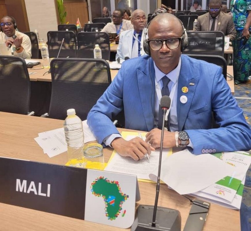 Alioune Gueye lors des travaux de l'union parlementaire africaine à Kinshasa : "Il est temps et grand temps que l'Afrique se réveille, s'assume et assume pleinement ses choix souverains"