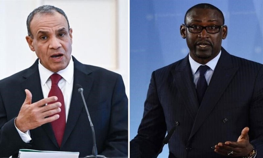 Egypte : soutien au Mali dans la lutte contre le terrorisme