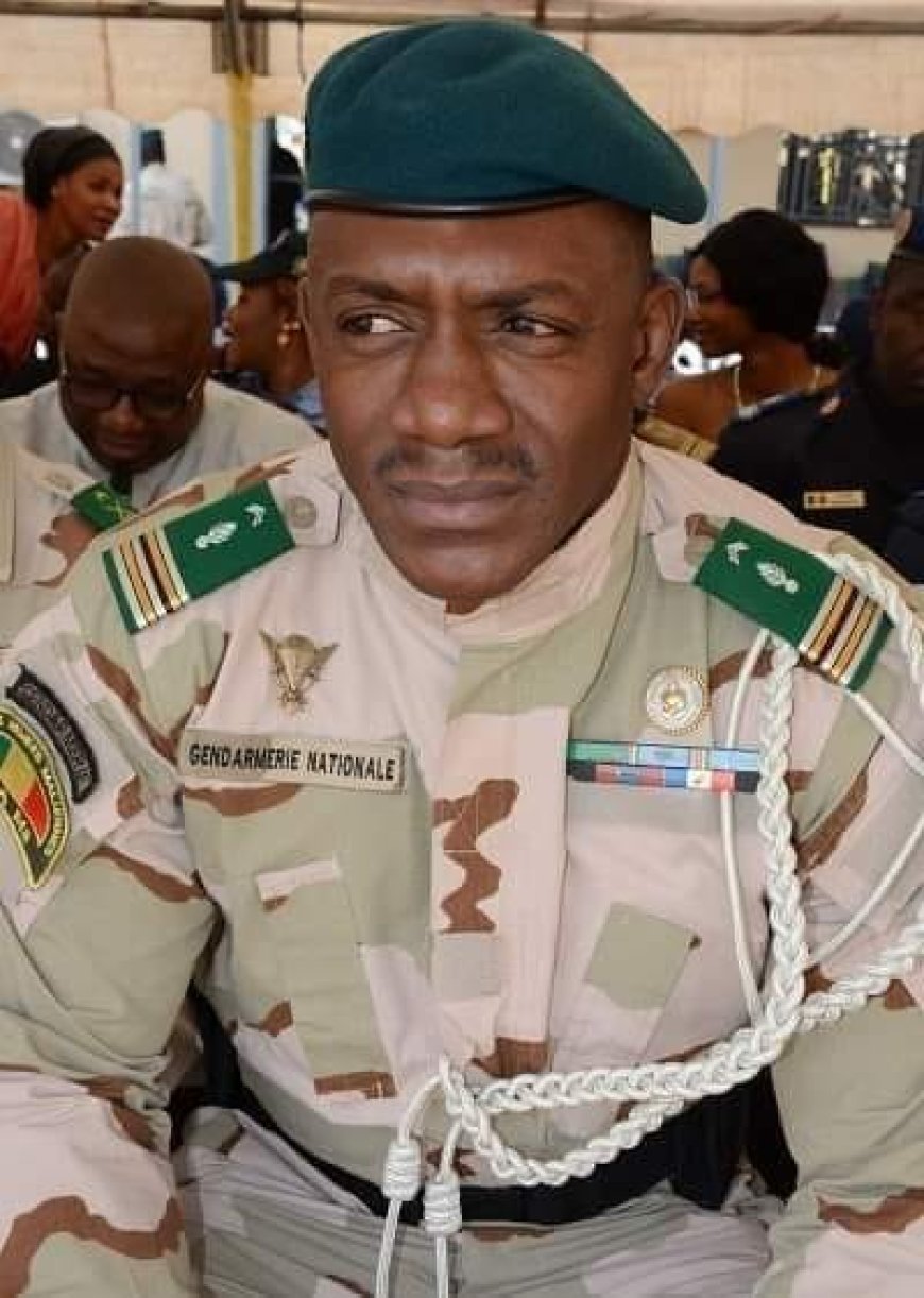Forces armées maliennes (FAMA) :  Les écrits du Colonel Alpha Yaya Sangaré lui coûtent la radiation