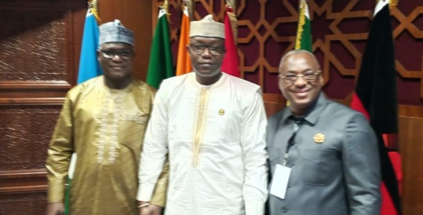 Le président du CNT, Malick Diaw a la 3e conférence des  présidents d'assemblées législatives africaines à Rabat :