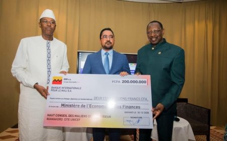 La diaspora malienne au cœur de la résilience nationale : Un chèque de 200 millions FCFA remis au Fonds de résilience