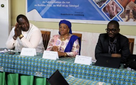 Renforcement de la Sécurité Sanitaire Alimentaire au Mali : La FAO Renforce les Acteurs Locaux