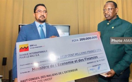 Solidarité nationale : La diaspora malienne mobilise 200 millions de fcfa