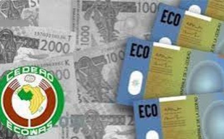 Monnaie unique de la CEDEAO : Un dilemme pour l’AES ?