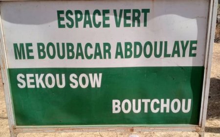 Devoir de reconnaissance : L'espace vert Me Boubacar Sow alias Boutchou se meurt à petit feu