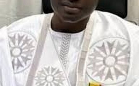 Idrissa Bakary Diarra, Directeur de l'INPS :  " L'INPS ne peut et ne saurait être un État dans un État "