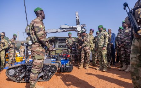 Cercle de Yélimané : Les FAMa portent un coup dur aux groupes terroristes