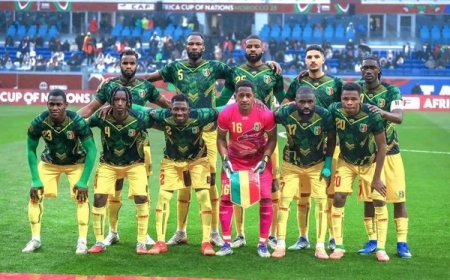 Brahim Thiam : «La force des Aigles, c’est leur statut d’outsiders»