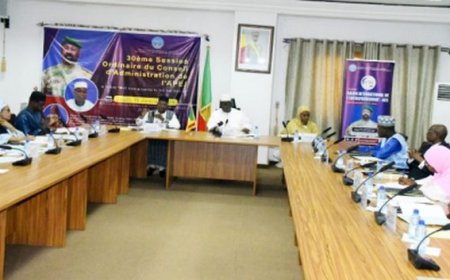 APEJ : Plus de 6,3 milliards F CFA pour 17 400 jeunes en 2026