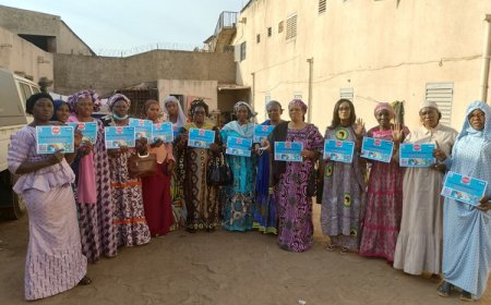 Santé publique : l’ONG AVPIP sensibilise les femmes aux dangers des phtalates et du Bisphénol A