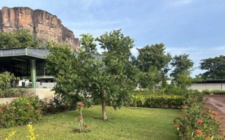 Entrepreneuriat-Emploi-Formation Professionnelle : Bilan et perspectives passés au peigne fin