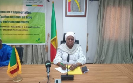 Mali : vers un Plan d’action national pour lutter contre les criminalités environnementales