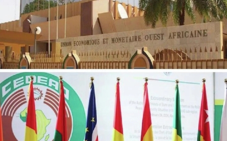 Les cas du Mali et de la Guinée démontrent l’inefficacité des sanctions, selon un expert malien