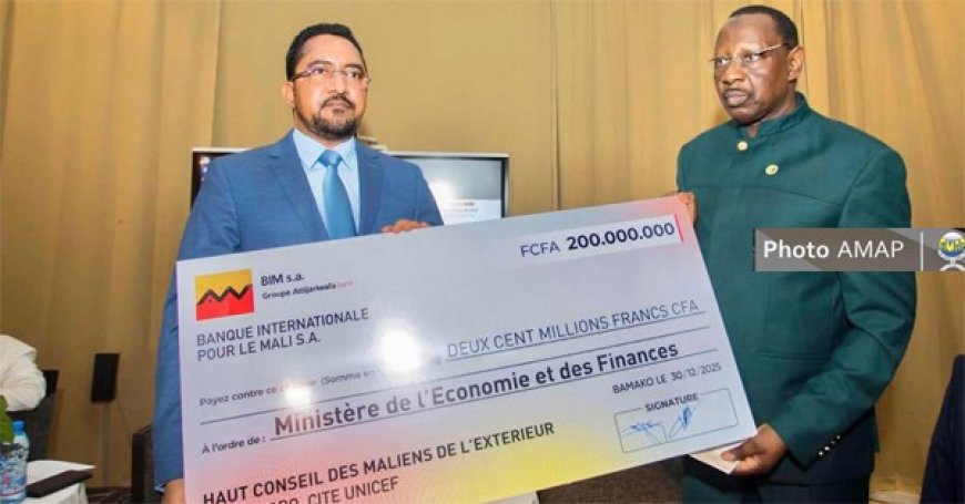 Solidarité nationale : La diaspora malienne mobilise 200 millions de fcfa