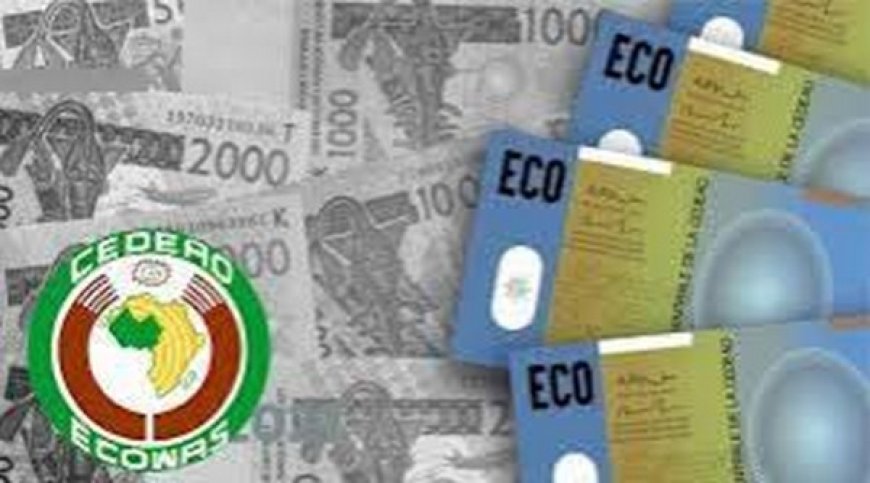 Monnaie unique de la CEDEAO : Un dilemme pour l’AES ?