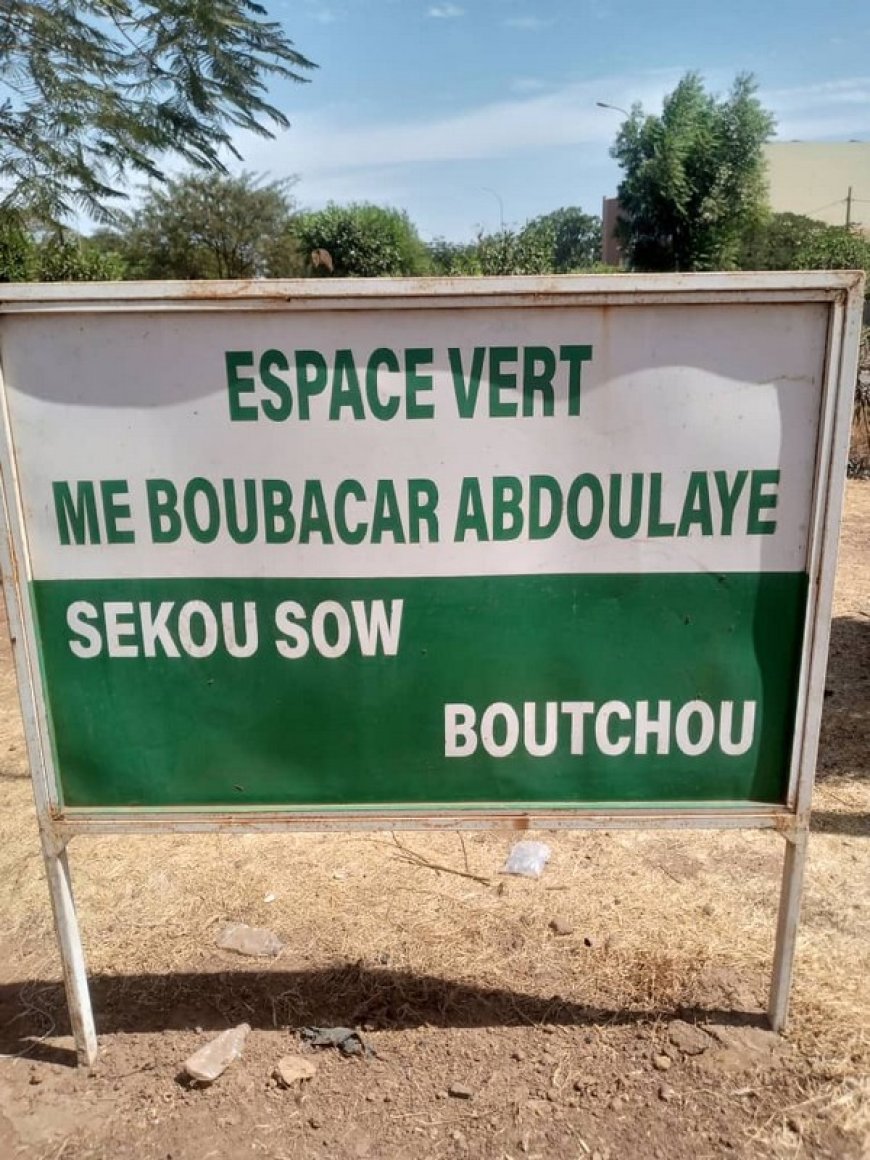 Devoir de reconnaissance : L'espace vert Me Boubacar Sow alias Boutchou se meurt à petit feu