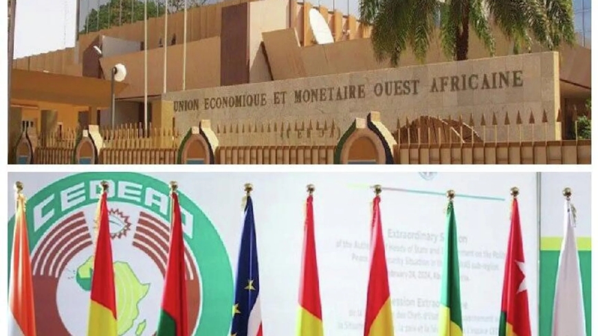 Les cas du Mali et de la Guinée démontrent l’inefficacité des sanctions, selon un expert malien