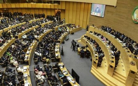 39ᵉ sommet de l’Union africaine : Appel renouvelé à la solidarité