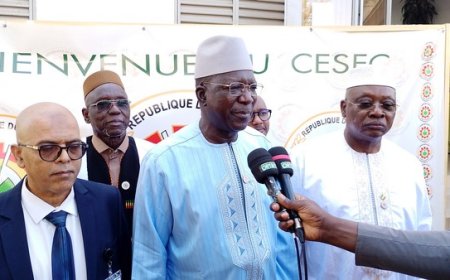 CESEC : Ouverture de la 9e session ordinaire sous le signe de l’éducation et de la culture
