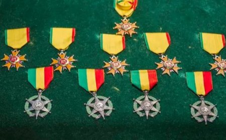 Distinctions nationales : Le mouvement «MALI EN MARCHE» plaide  pour la déchéance