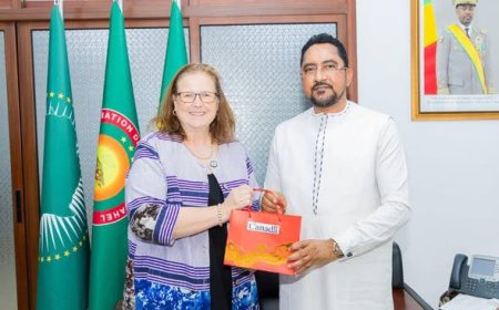 Migration et diaspora au cœur des échanges : le Mali et le Canada renforcent leur coopération