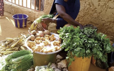Sikasso : Les légumes, une aubaine pour les commerçants et les consommateurs