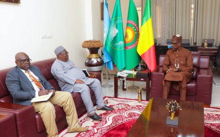 Fin de mission de l’ONUSIDA au Mali : Abdoulaye Diop reçoit le Dr Marc Saba pour une audience d’adieu
