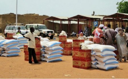 CICR au Mali : Une action humanitaire multiforme au cœur des zones de conflit