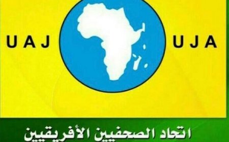 62è session de formation des jeunes journalistes africains au Caire Une opportunité pour renforcer les interactions !