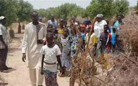 Partenariat Office du Niger – AICCRA – AfricaRice : La zone de Niono et le SEXAGON reçoivent leurs équipements et semences climato-intelligentes