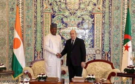 Le président nigérien effectue une visite de fraternité et de travail en Algérie