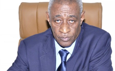 Que sont-ils devenus…  Ousmane Mahalmoudou Maïga dit Pélé : Le journalisme dans toute sa splendeur