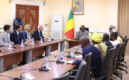 Sahel–Union européenne : le Premier ministre échange avec l’émissaire spécial de l’UE