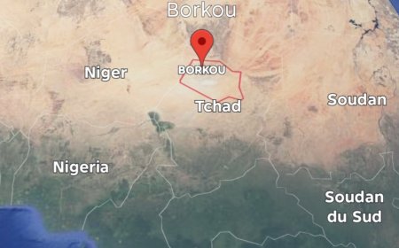 Tchad: quatre officiers tués dans une attaque de coupeurs de route