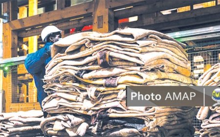 Filière peau et cuir : Un pilier important de l’économie nationale