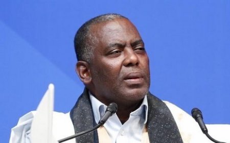 Biram Ould Dah Abeid, opposant mauritanien, à Berlin :  « La démocratie ne commence ni avec une élection, ni avec un discours »
