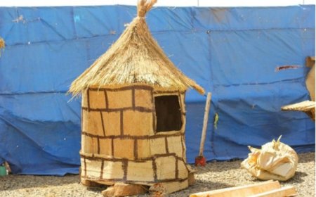 Festival Nangnerki : Immersion dans la culture sénoufo via le festival