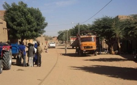 Coexistence entre éleveurs et agriculteurs à Bamba :  Une médiation locale qui a réduit les conflits
