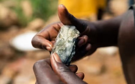Le Zimbabwe interdit l'exportation de tous les minerais bruts