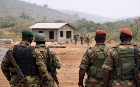 L’armée guinéenne confirme l’interpellation de 16 militaires sierra-léonais dans une localité frontalière