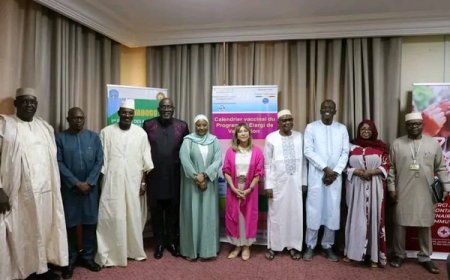 Coopération internationale : le Ministre Assa Badiallo Touré renforce les axes humanitaires et sanitaires avec l'ONU et la Banque mondiale