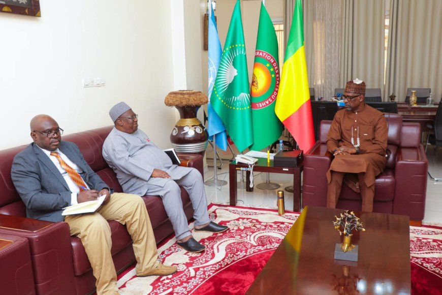 Fin de mission de l’ONUSIDA au Mali : Abdoulaye Diop reçoit le Dr Marc Saba pour une audience d’adieu